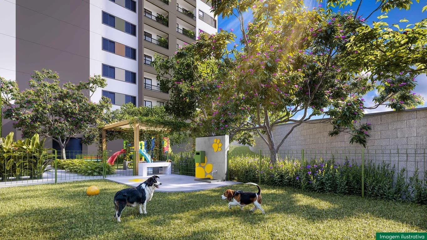 Pet place gramado com cachorros brincando